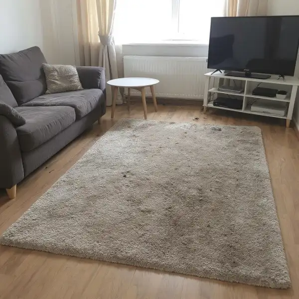 Стирка и восстановление шерстяного ковра в доме - до уборки